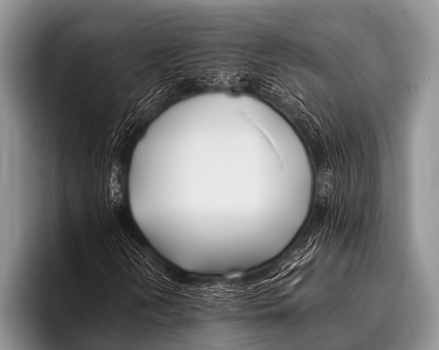 X0000096181202200802081452