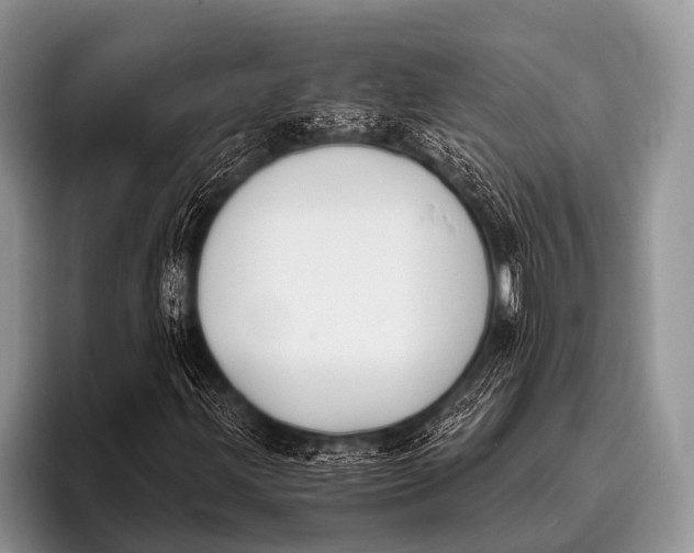 X0000096181203200802081452
