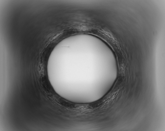 X0000096181205200802081452