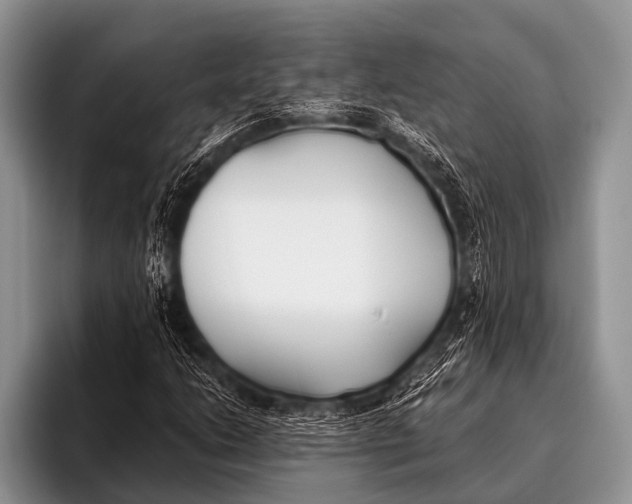 X0000096181206200802081452
