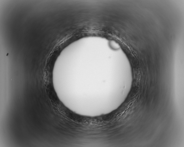X0000096181207200802081452