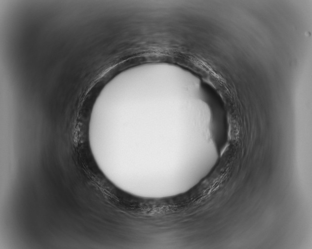 X0000096181208200802081452