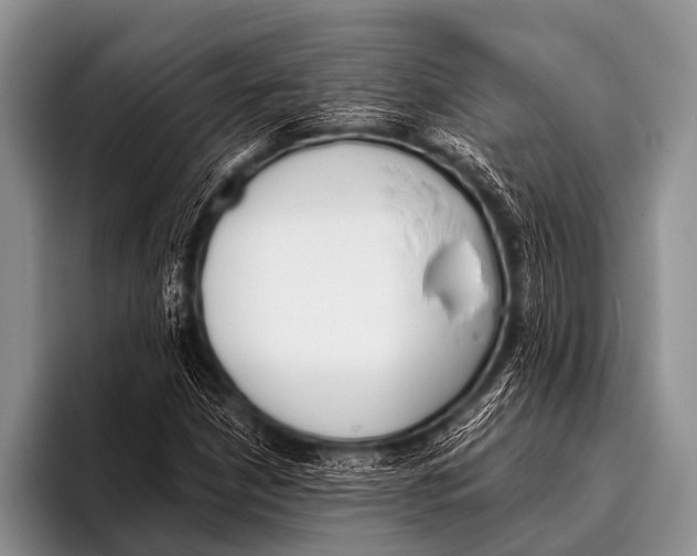 X0000096181210200802081452