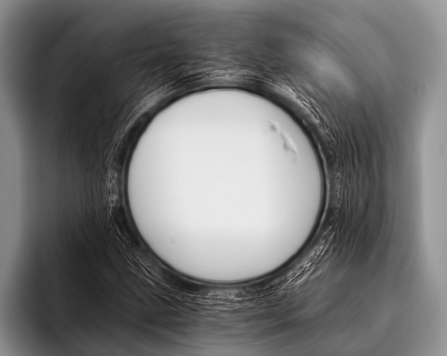 X0000096181211200802081453