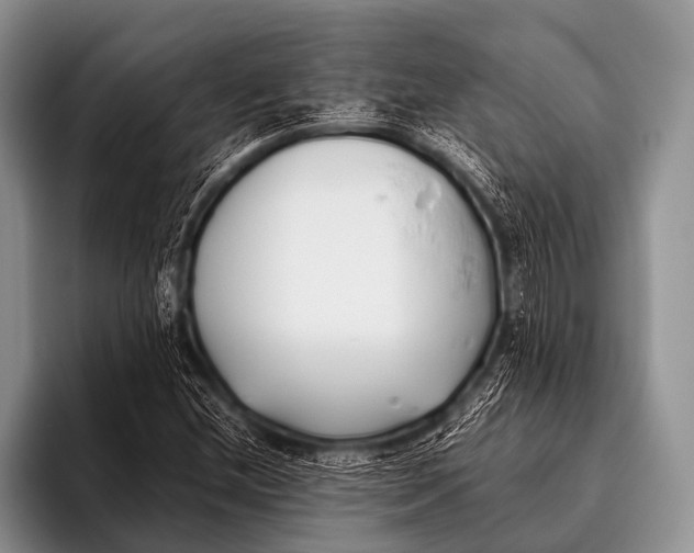 X0000096181212200802081453