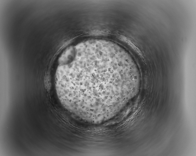 X0000096181213200802081453