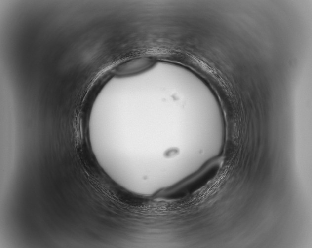 X0000096181214200802081453