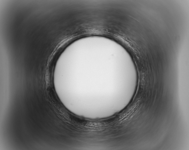 X0000096181215200802081453
