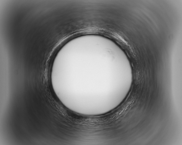 X0000096181216200802081453