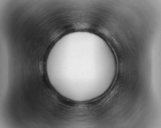 X0000096181217200802081453