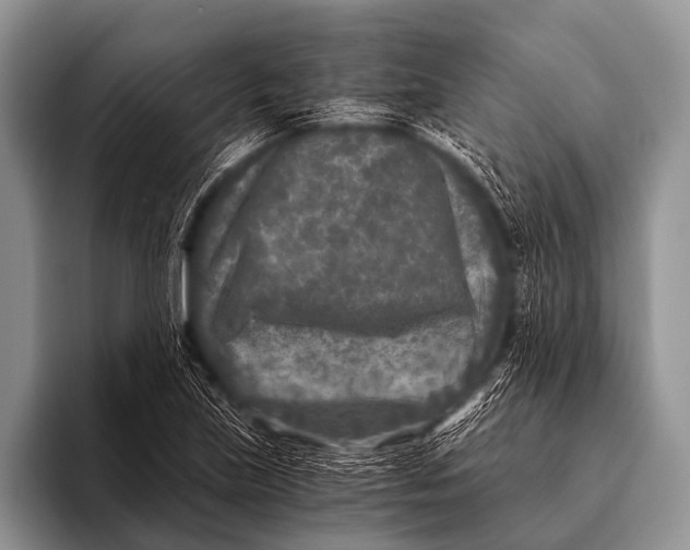 X0000096181219200802081453