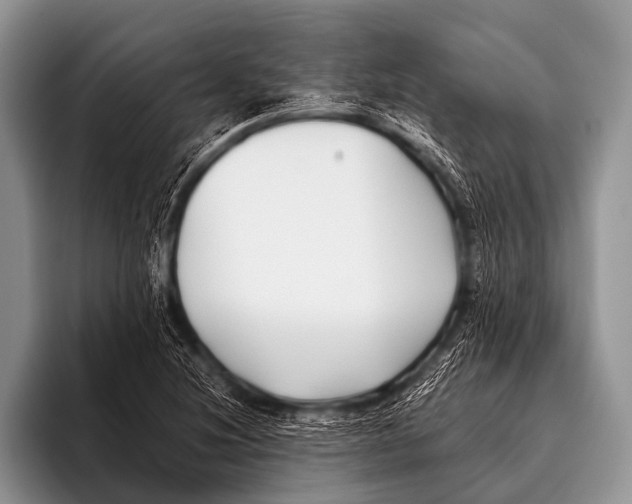 X0000096181220200802081453