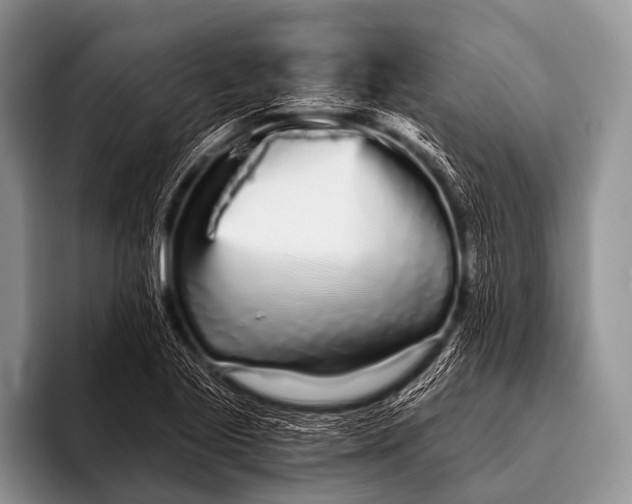X0000096181221200802081453