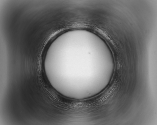 X0000096181222200802081453