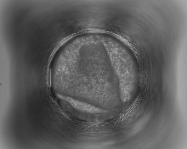 X0000096181223200802081453
