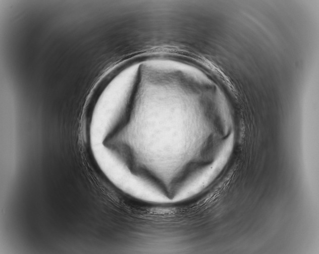 X0000096181224200802081453