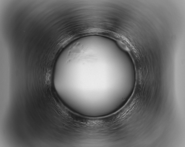 X0000096181225200802081453