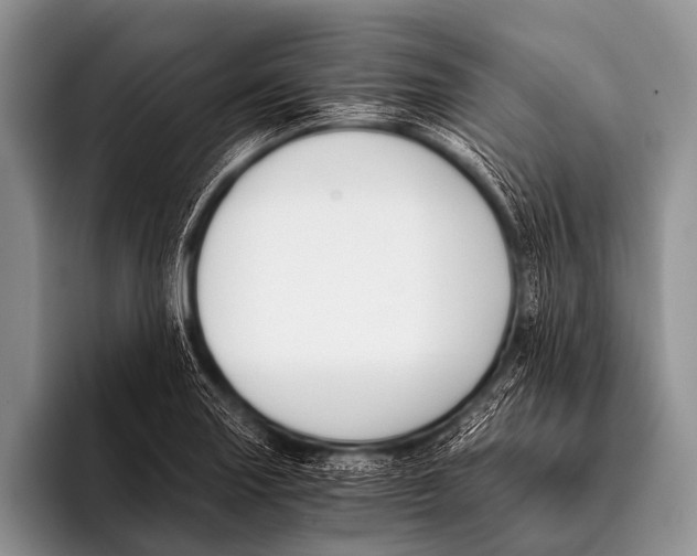 X0000096181227200802081453
