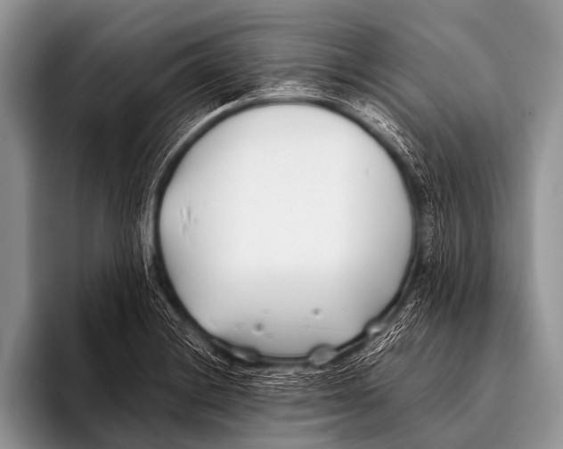 X0000096181228200802081453
