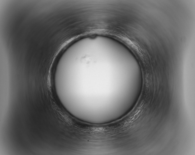 X0000096181230200802081453