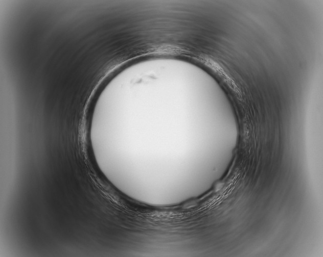 X0000096181232200802081453