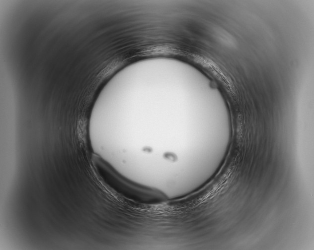 X0000096181233200802081453