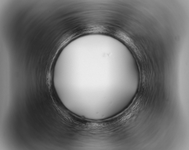 X0000096181234200802081453