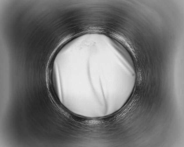 X0000096181235200802081453