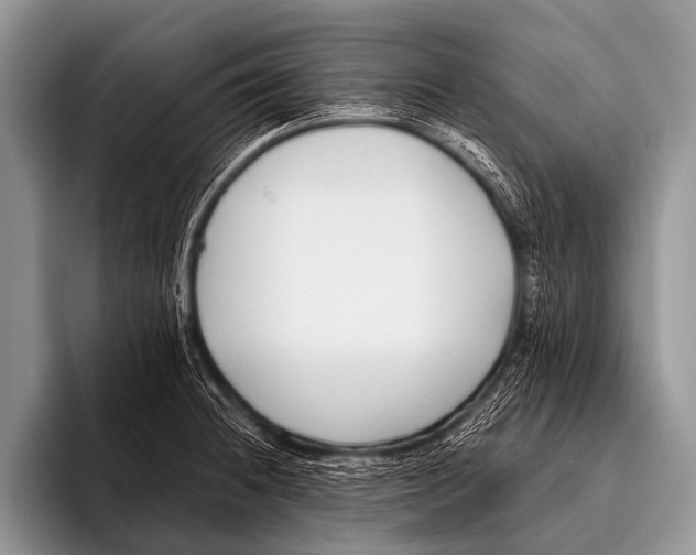 X0000096181236200802081453
