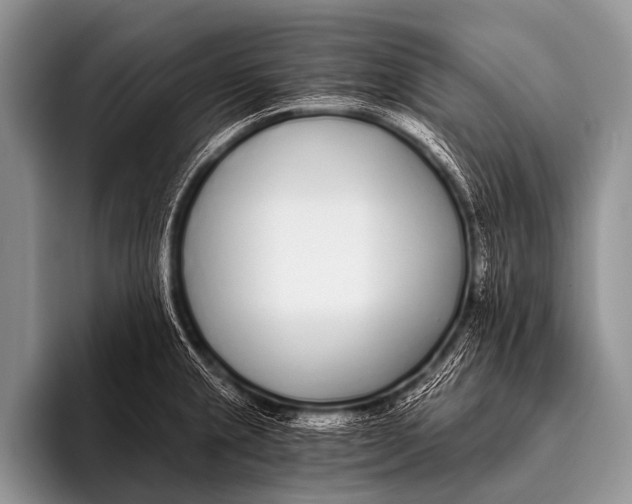X0000096181237200802081453