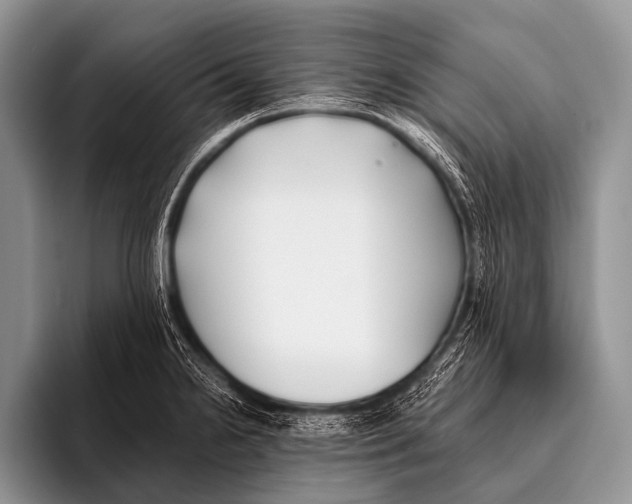 X0000096181238200802081453
