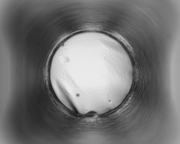 X0000096181240200802081453