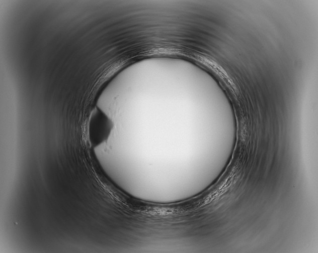 X0000096181241200802081453