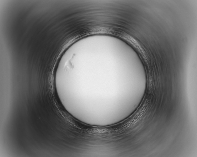 X0000096181242200802081453