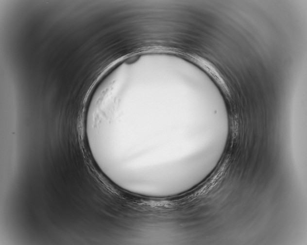 X0000096181244200802081453