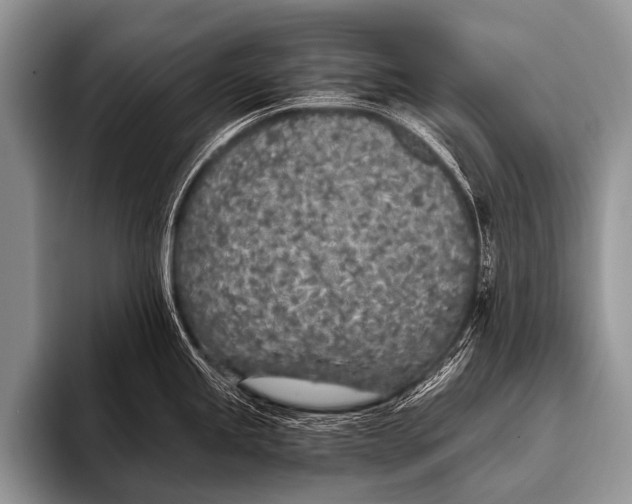 X0000096181245200802081453
