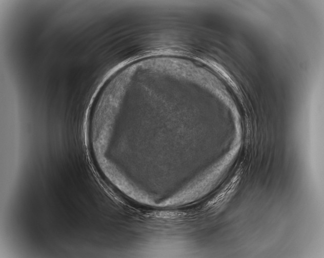 X0000096181246200802081453