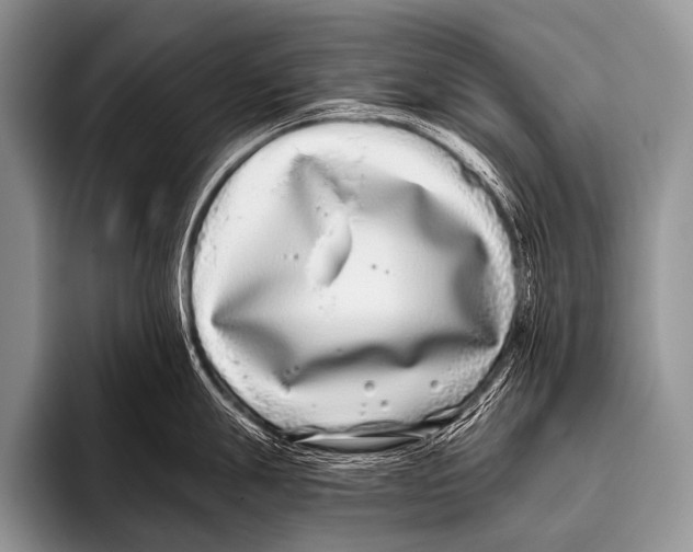 X0000096181247200802081453