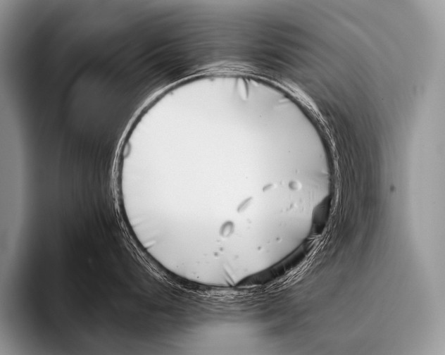 X0000096181248200802081453