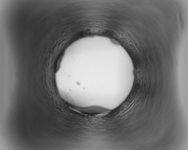 X0000096181249200802081452