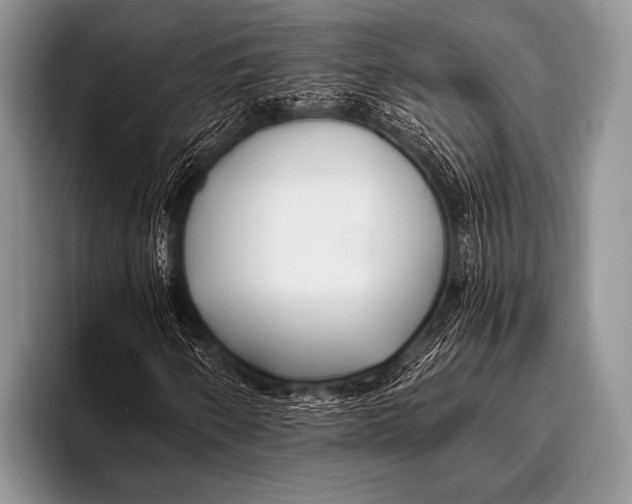 X0000096181250200802081452