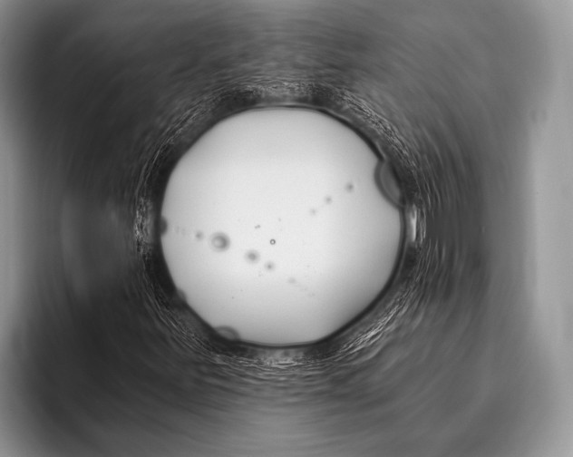 X0000096181251200802081452