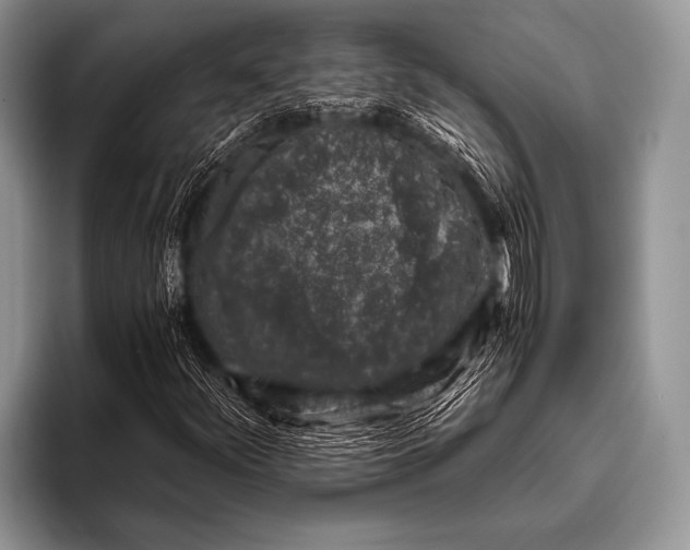 X0000096181252200802081452