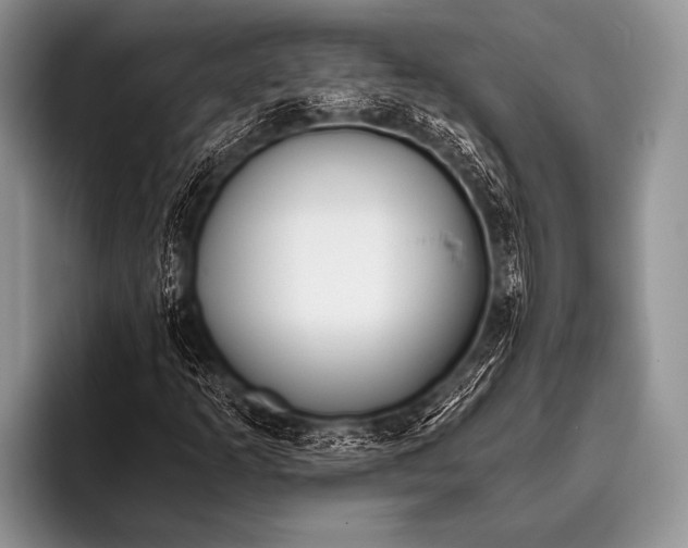 X0000096181253200802081452