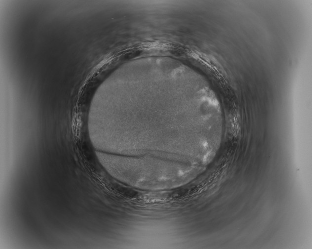 X0000096181254200802081452