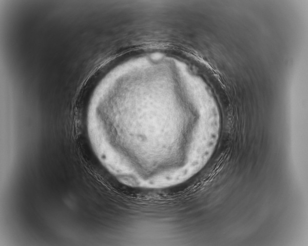 X0000096181255200802081452