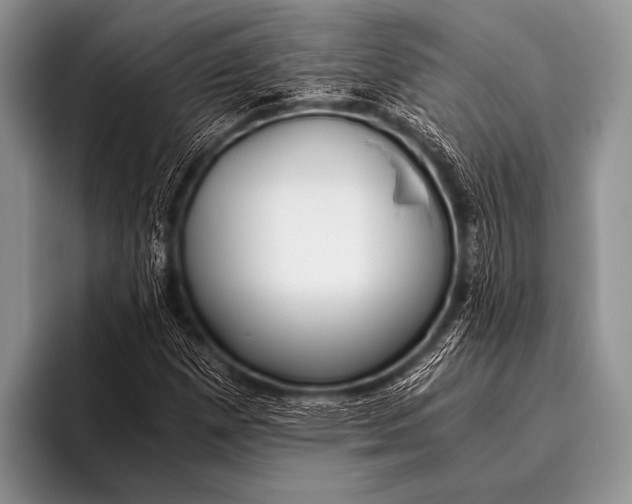 X0000096181257200802081452