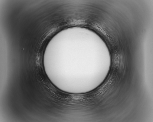 X0000096181258200802081452