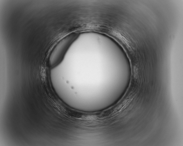 X0000096181260200802081452