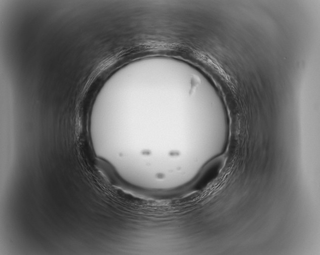 X0000096181261200802081452
